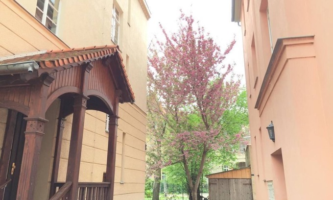 Weimar Apartment | Ferienwohnung in Altstadtnähe