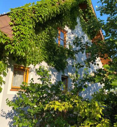 Ilz Apartment | Ferienwohnung in der Thermenregion