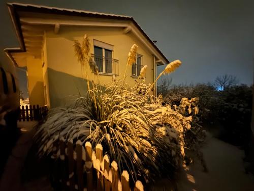 Jestetten Apartment | Ferienwohnung in Jestetten an der Landesgrenze zu Schaffhausen und Zürich