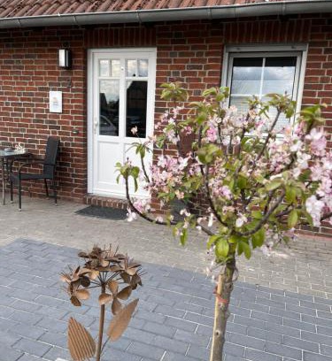 Hagenburg Apartment | Ferienwohnung Kleine Auszeit