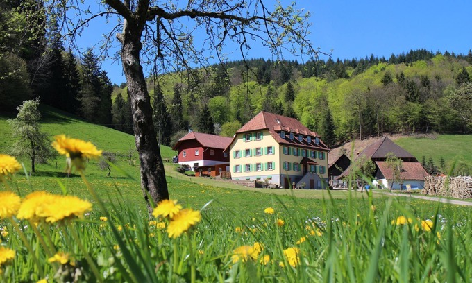 Schuttertal Apartment | Ferienwohnung Mareike, 80qm, 2 Schlafzimmer, max. 4 Personen