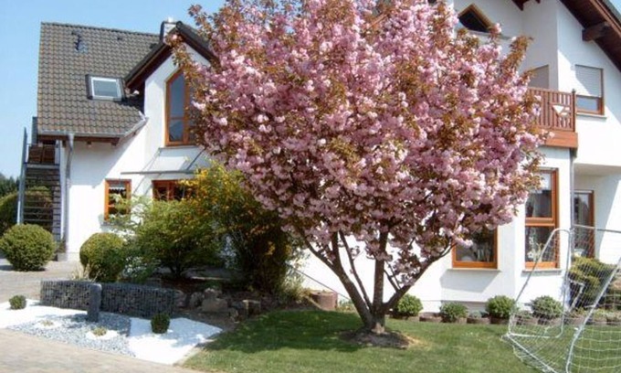 Beltheim Apartment | Ferienwohnung mit Herz - Appartement/fewo, Dusche, WC, Neuwertig