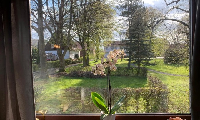 Dransfeld Apartment | Ferienwohnung Parkblick