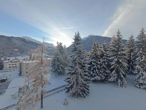 Meierhof Apartment | Ferienwohnung Parsenn Peaks Panorama