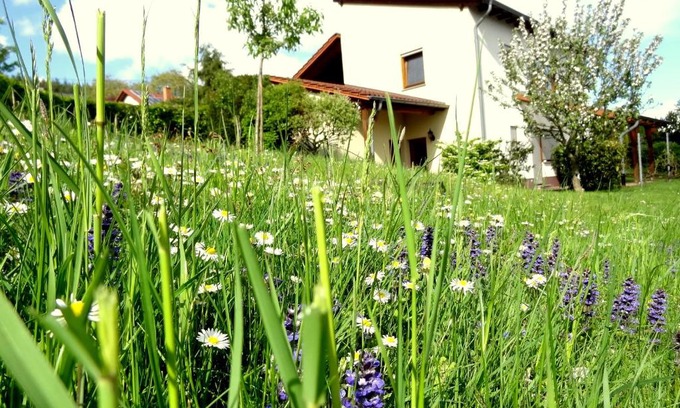 Mettlach House | Ferienwohnung Schneider