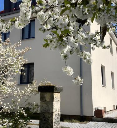 Bayreuth Apartment | Ferienwohnung Skyline Suite