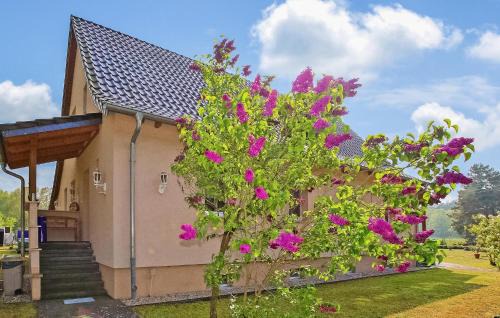 Torgelow-Hollanderei Apartment | Ferienwohnung Torgelow