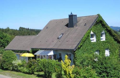 Langewiese Apartment | Ferienwohnung Trapp