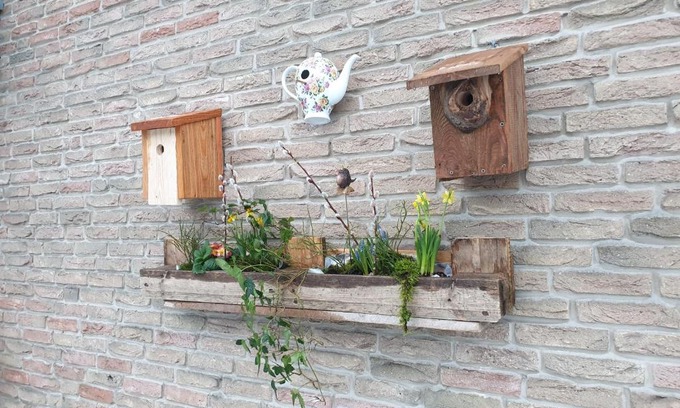 Altenbeken Apartment | Ferienwohnung Vogelvilla