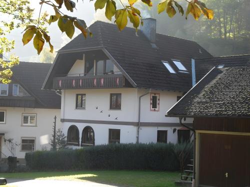 Simonswald Apartment | Ferienwohnung Waldblick