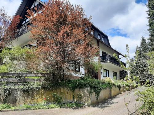 Hallenberg Apartment | Ferienwohnung Waldblick