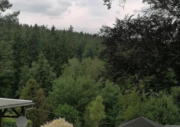 Sebnitz Apartment | Ferienwohnung Waldblick mit Balkon