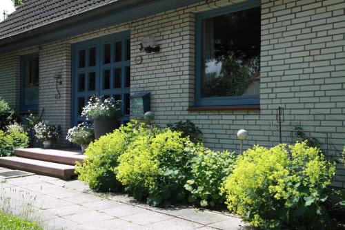Vitzdorf Apartment | Ferienwohnung weißes Haus