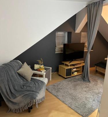 Biedenkopf Apartment | Ferienwohnung Wibi