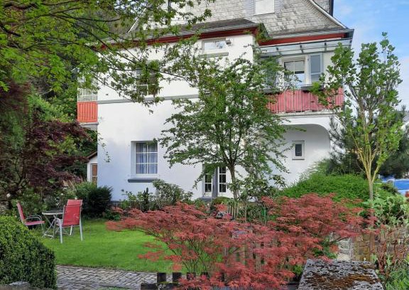 Mainz-Bingen Apartment | Ferienwohnungen-In-Bacharach