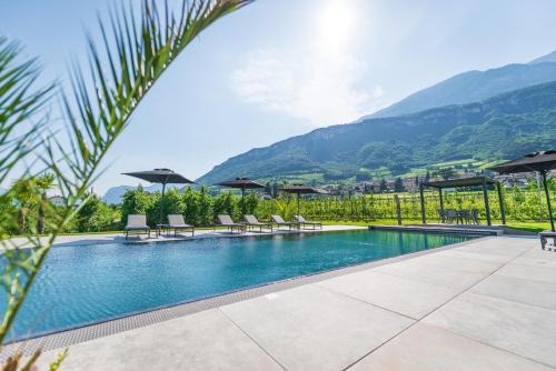 Tramin Apartment | Ferienwohnungen Zwerger Reinhold