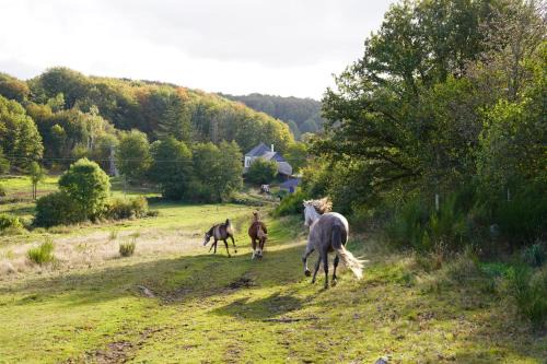 Montboudif House | Ferme Équestre Equi'Cantal