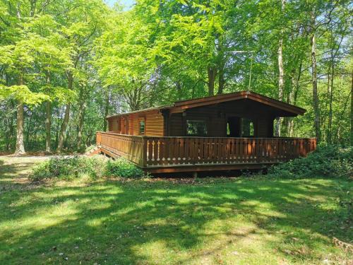 Kenwick Apartment | Fern Lodge