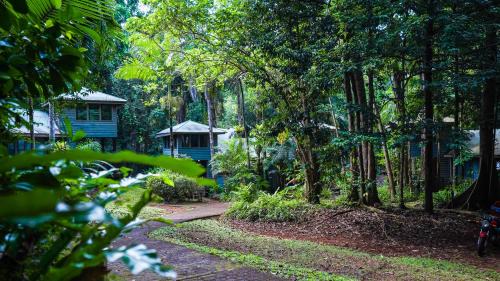 Cape Tribulation Cabin | Ferntree Rainforest Lodge