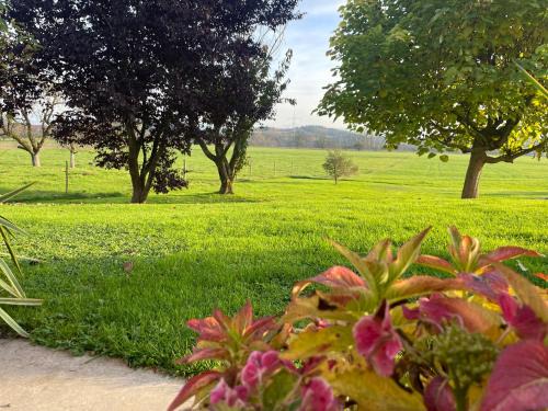 Wangen im Allgaeu Apartment | FeWo - Natur, Ruhe und Erholung