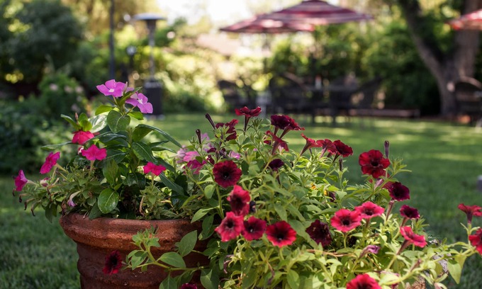 Carlsbad Bed & Breakfast | Fiddler's Inn