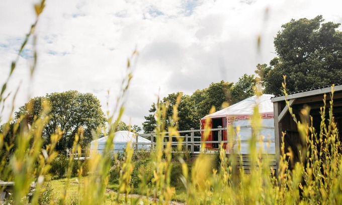 Newquay Cabin | Field Maple - A spacious Mongolian-inspired Yurt in stunning eco-friendly estate near Newquay