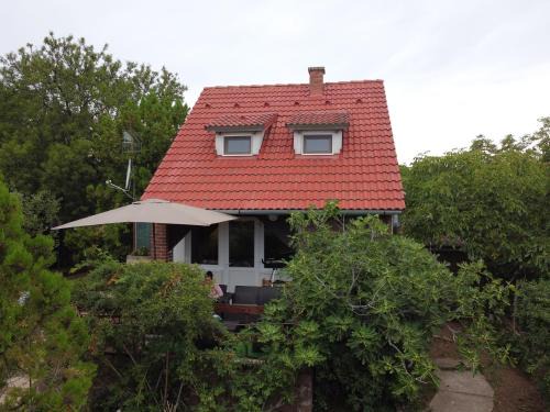 Lovas House | Fig Tree house