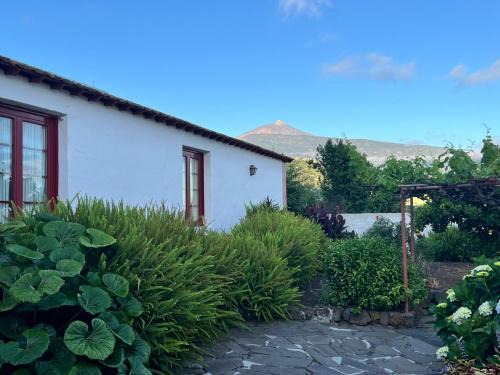 Montijos Villa | Finca Abejera