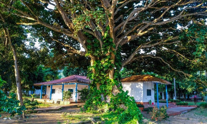 Palomino Hotel | Finca del Rio Palomino
