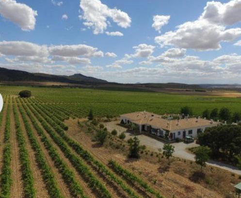 Alpera Hotel | Finca El Romeral