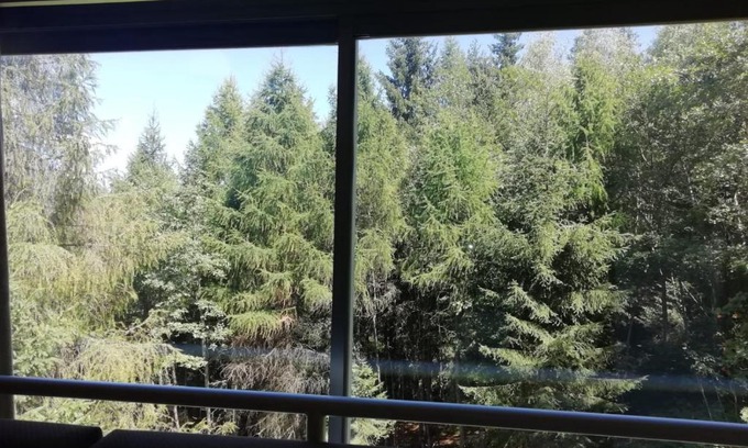 Marilleva Apartment | FINESTRA SUL BOSCO - MONOLOCALE MARILLEVA 1400