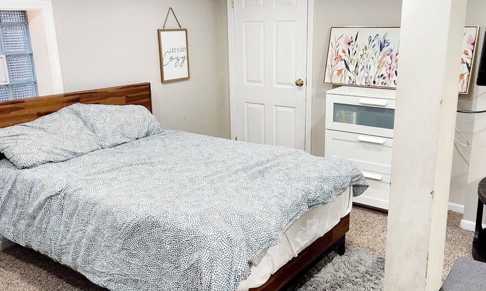 Oak Park House | Finished Basement in Historic Oak Park with 2 cats