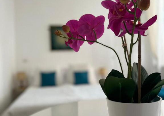 Vanchiglietta Apartment | Fior di Loto Suite - Antonelli
