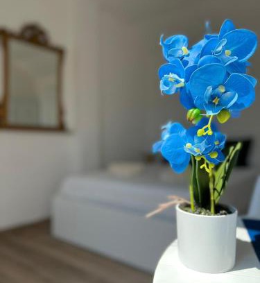 Millefonti Apartment | Fior di Loto Suite - Lingotto