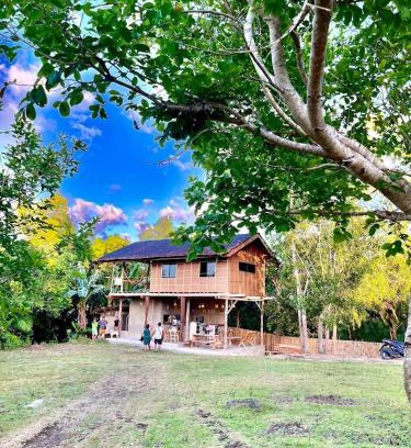 Lazi House | Firefly Treehouse Cafe and Bar