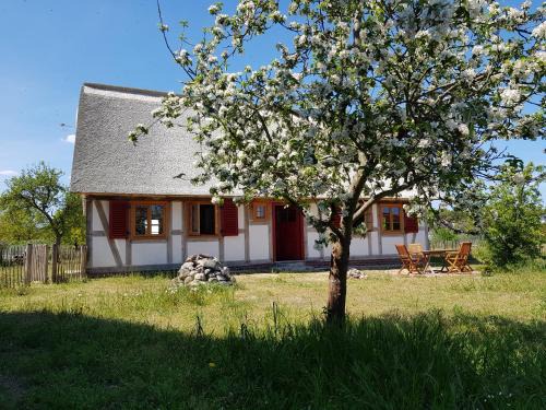 Altwarp Apartment | Fischerhus Lütt Hauke 69 qm Traudel