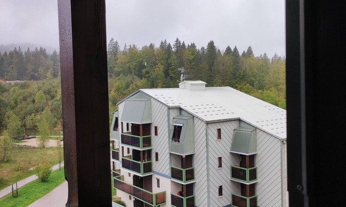 Premanon Apartment | Five minutes from skating rink, cross-country ski trails Duplex apartment