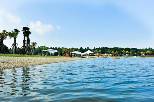 Ngoc Quang Villa | FLAMINGOS Villa Happy BT