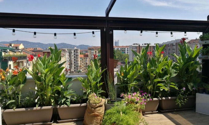 Mirafiori Apartment | Floorplan B - 208