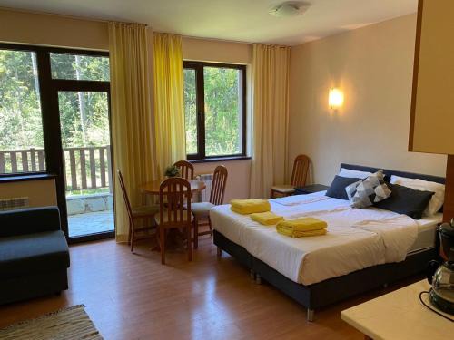 Borovets Apartment | Flora Ski-slope Studio Apartment
