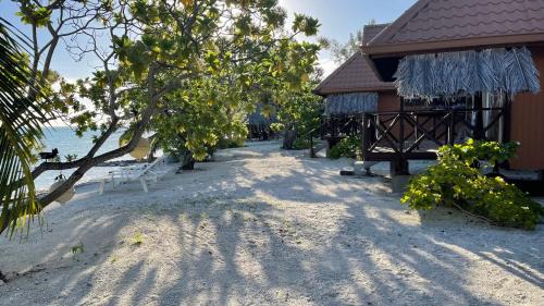 Anaa Bed & Breakfast | FLY FISHING ANAA TOKU KAIGA