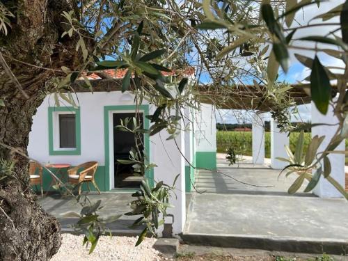 Borba Ski Chalet | Fonte Freixo, em Borba, Alentejo