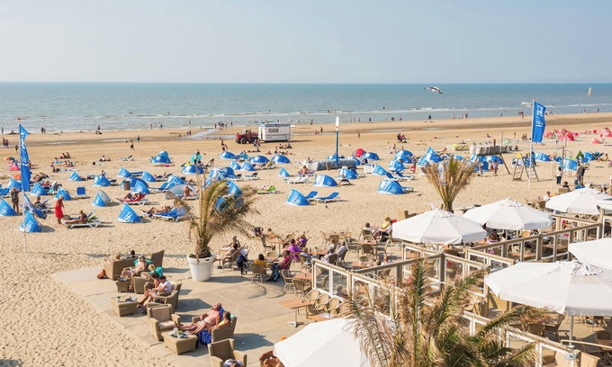 Municipality of Zandvoort Cabin | Forest and Ocean - Perfect couple or friends getaway