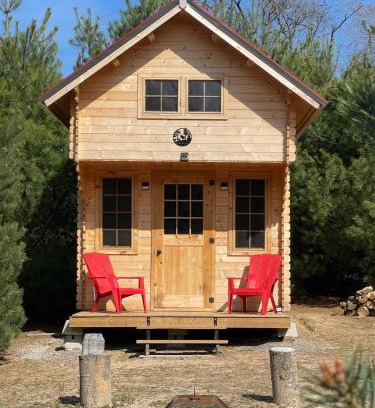 Langton House | Forest Bunkie Trails & Stargazing