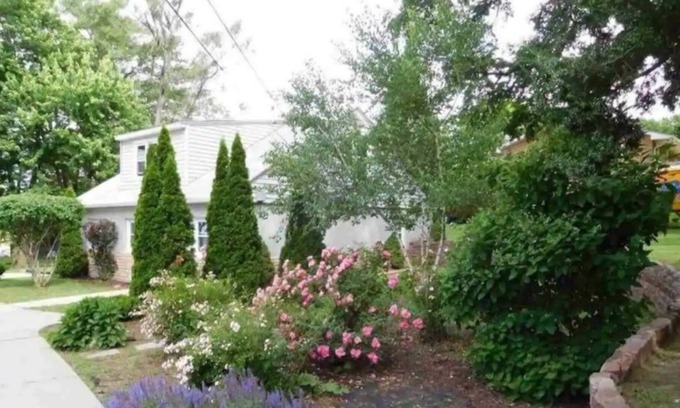 Bellevue House | Forest Cottage Peaceful Acreage