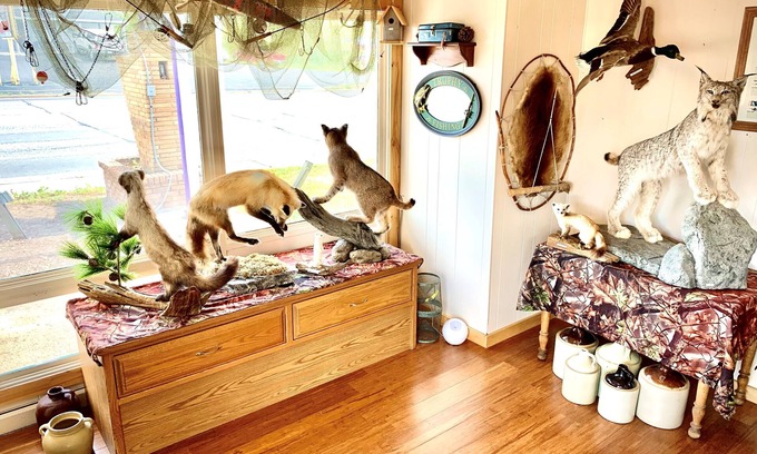 Grand Rapids Hotel | Forest Lake Motel