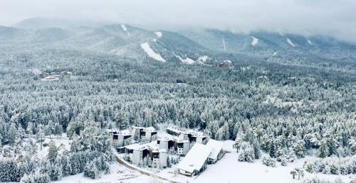 Maritsa Apartment | Forest nest - your place to rest!
