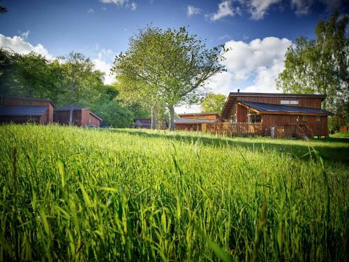 Berry Hill Resort | Forest of Dean Cabins - Forest Holidays