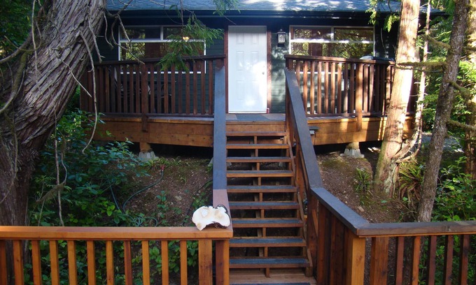 Tofino Cabin | Forest View Cabin located across from Cox Bay Beach