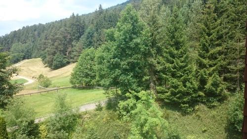 Tonbach Apartment | Forest View